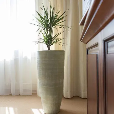 Hotel Prezydencki 3-star 3*